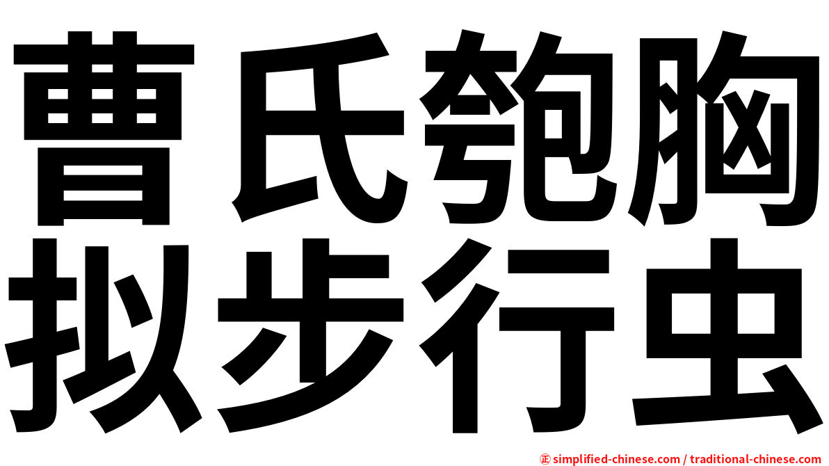 曹氏匏胸拟步行虫