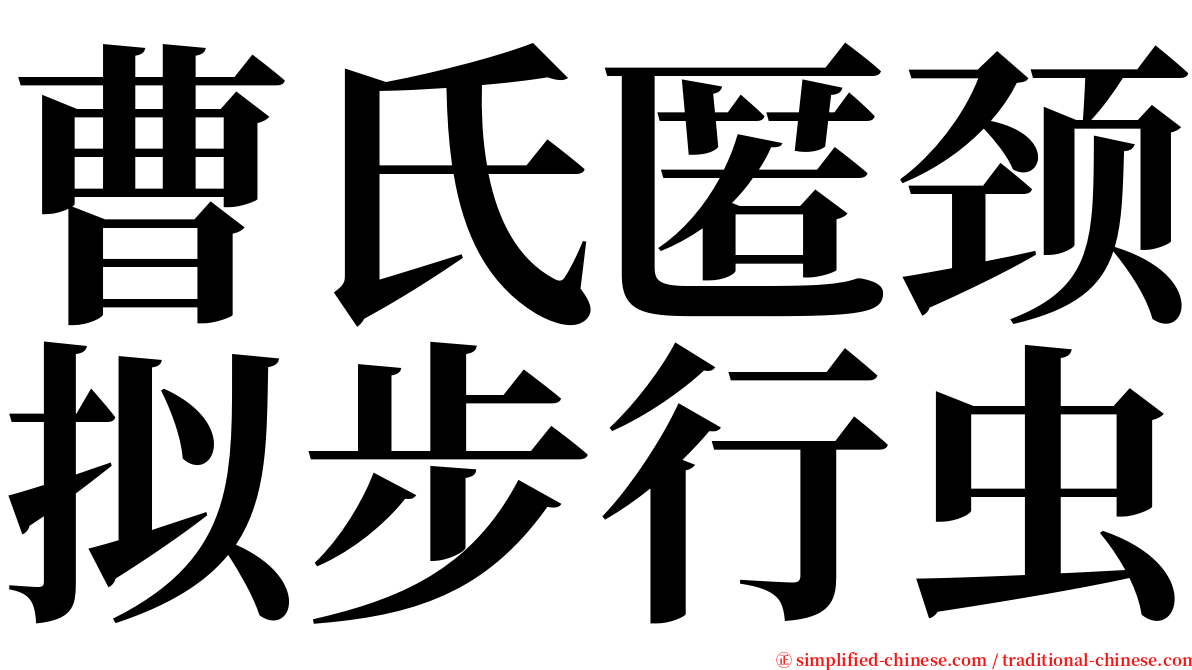 曹氏匿颈拟步行虫 serif font