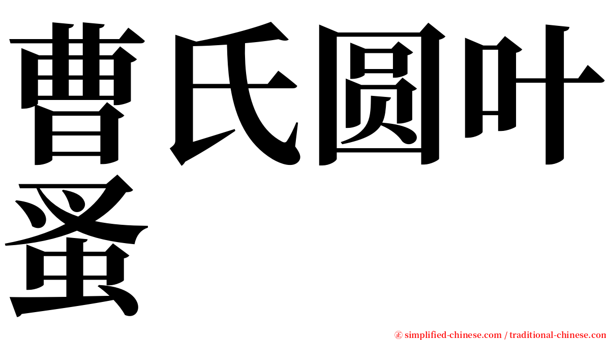 曹氏圆叶蚤 serif font