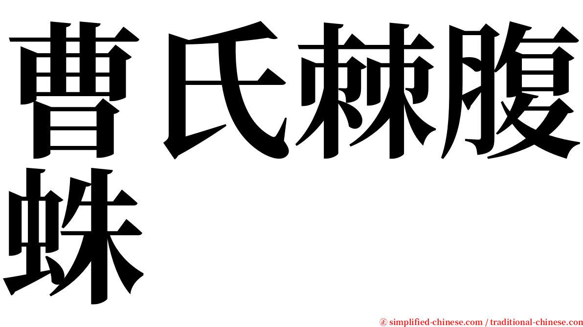 曹氏棘腹蛛 serif font