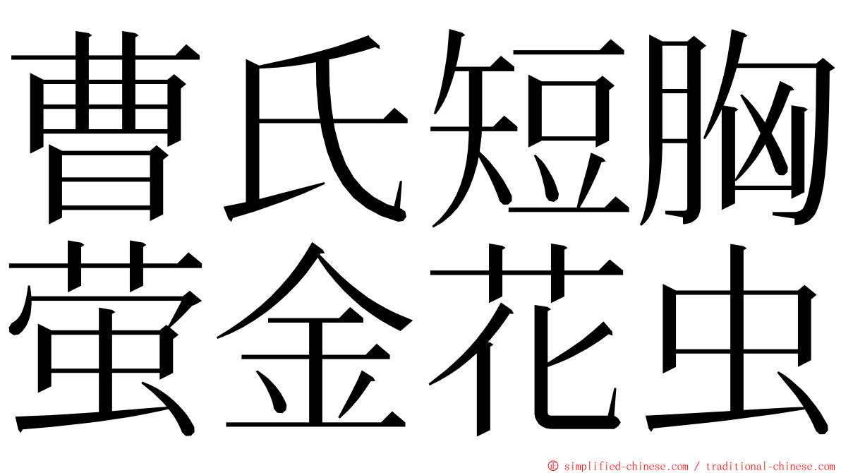 曹氏短胸萤金花虫 ming font