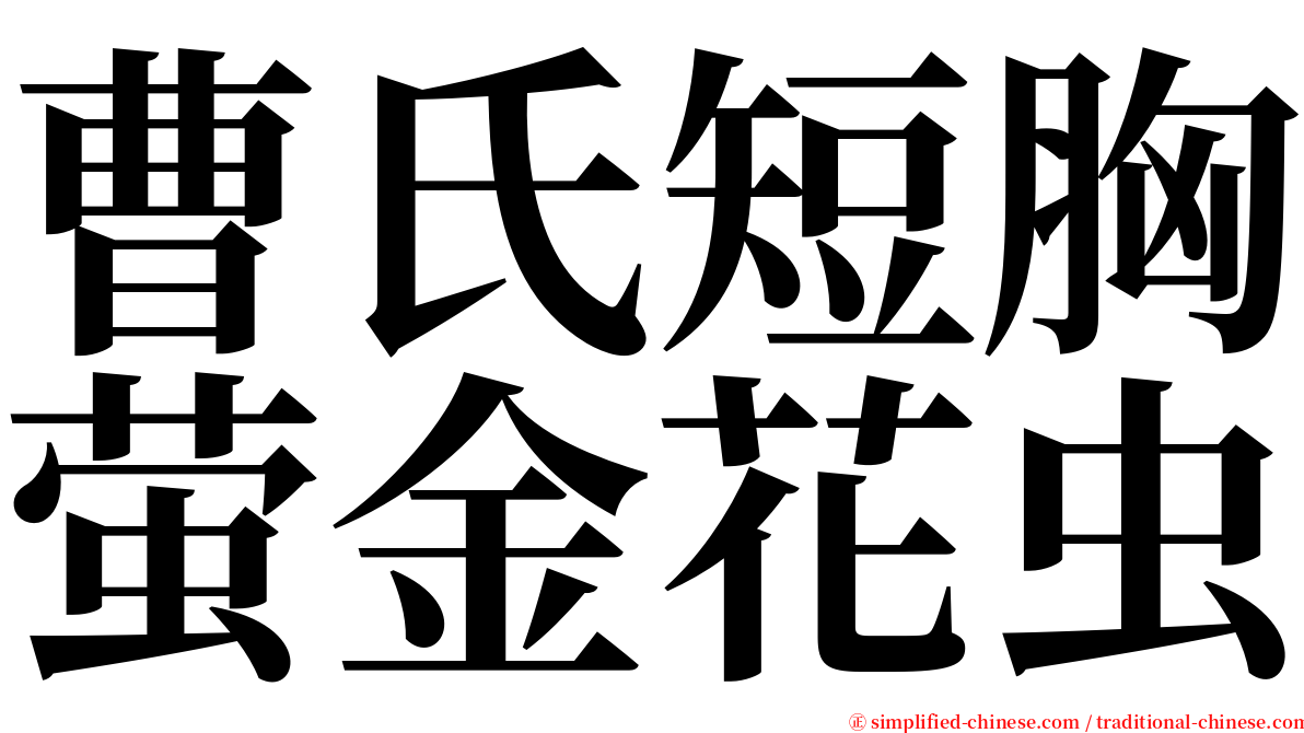 曹氏短胸萤金花虫 serif font