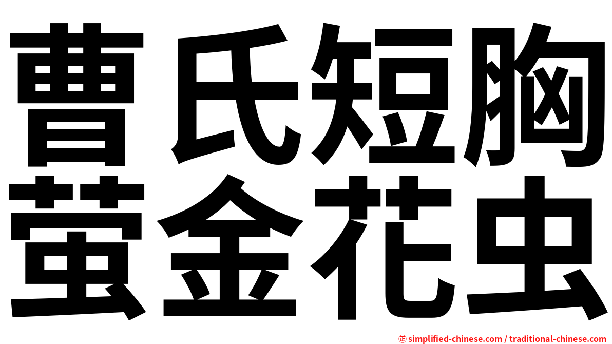 曹氏短胸萤金花虫