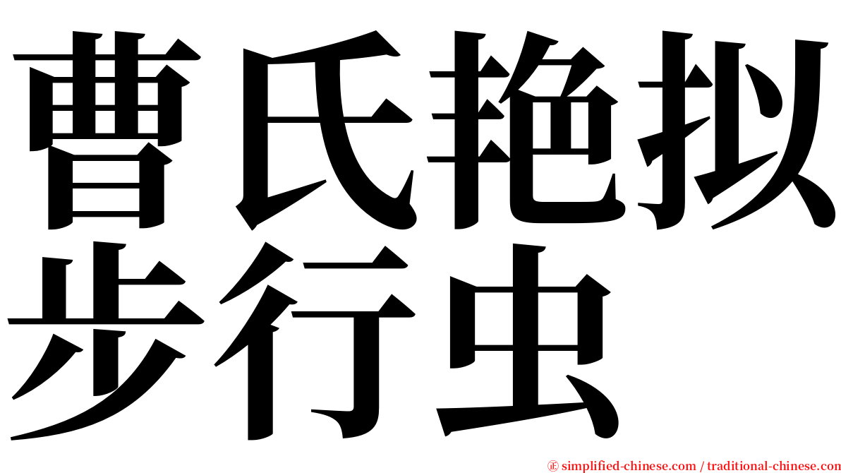 曹氏艳拟步行虫 serif font