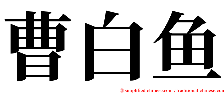 曹白鱼 serif font