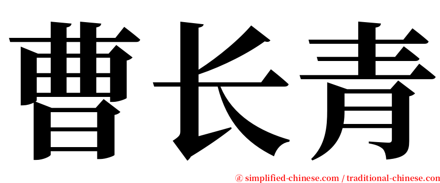 曹长青 serif font