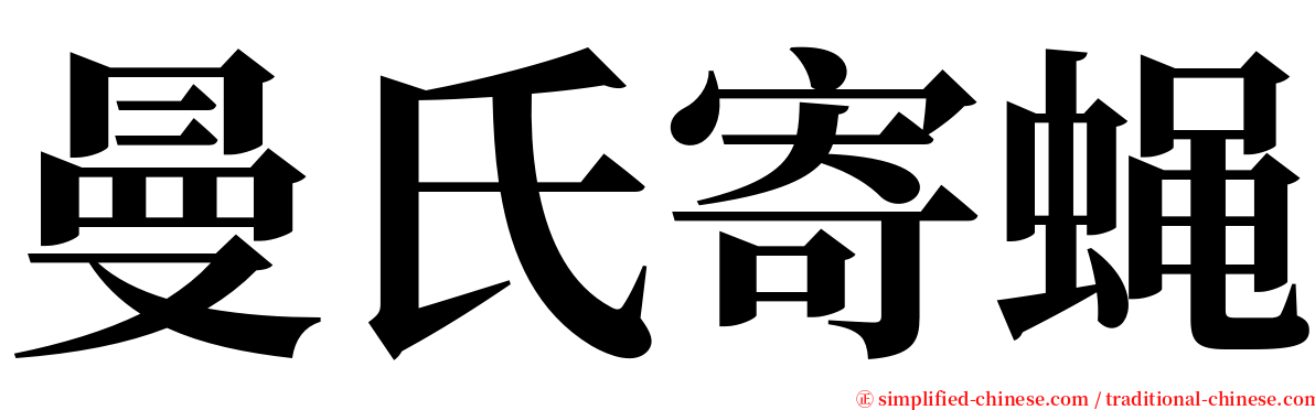 曼氏寄蝇 serif font