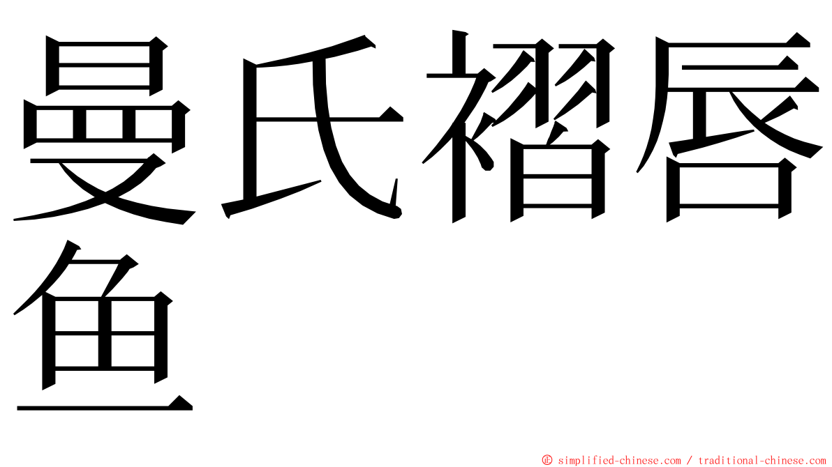 曼氏褶唇鱼 ming font