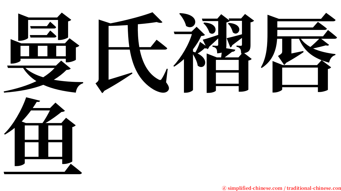 曼氏褶唇鱼 serif font