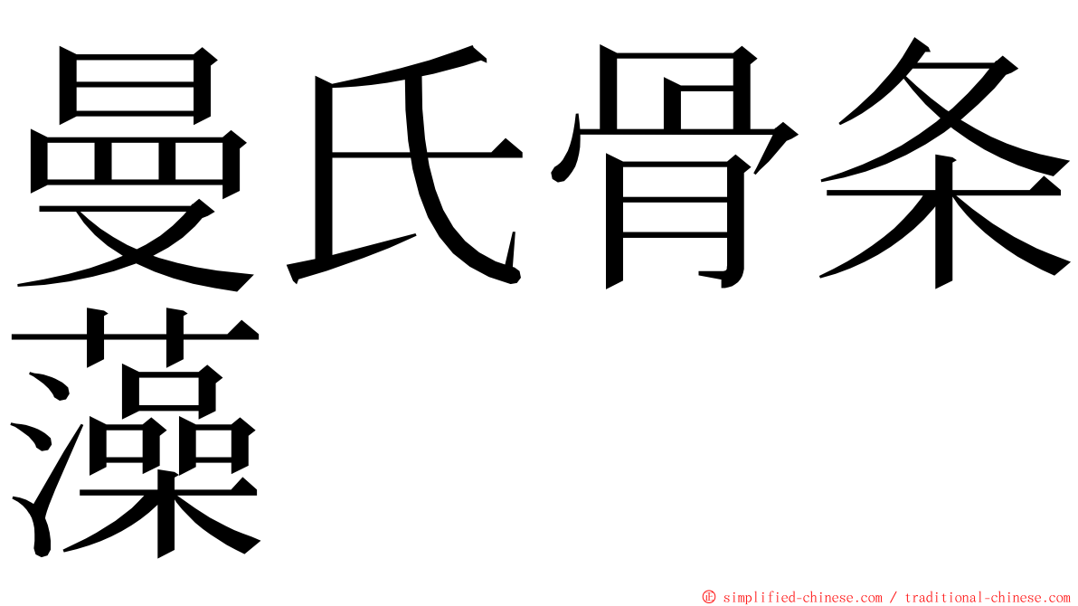 曼氏骨条藻 ming font