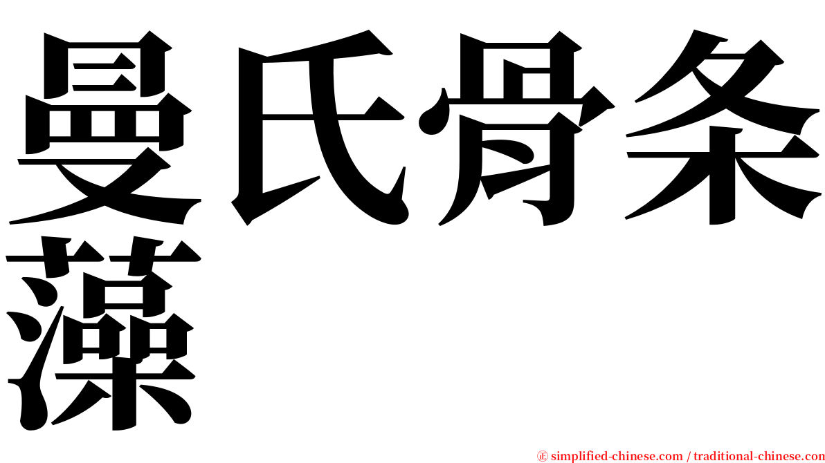 曼氏骨条藻 serif font