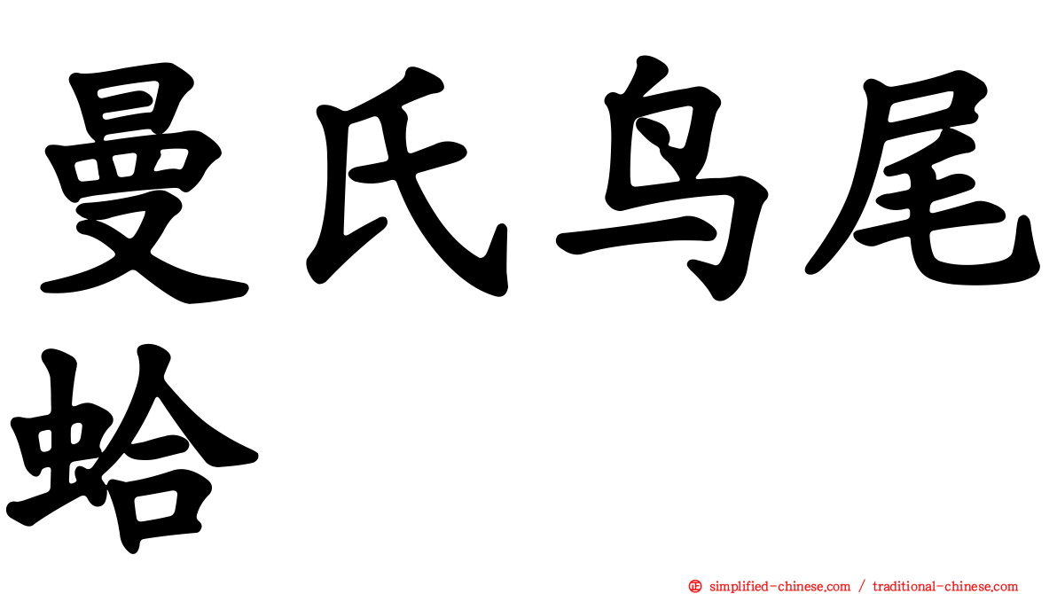 曼氏鸟尾蛤