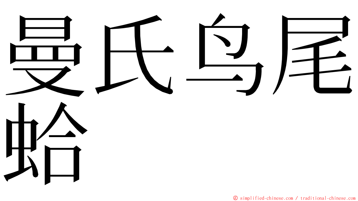 曼氏鸟尾蛤 ming font