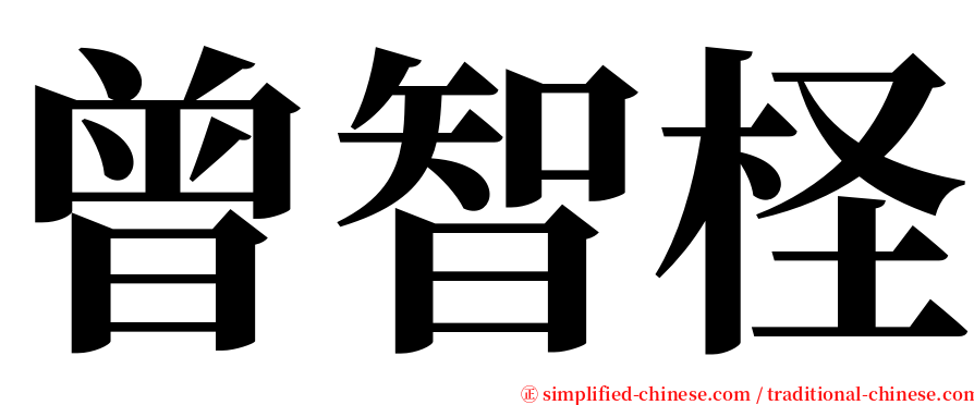 曾智柽 serif font