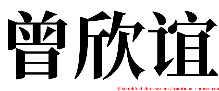 曾欣谊 serif font