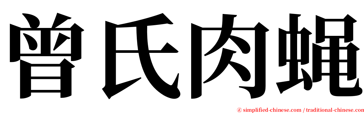 曾氏肉蝇 serif font