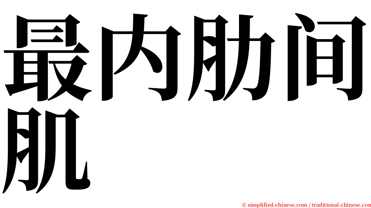 最内肋间肌 serif font