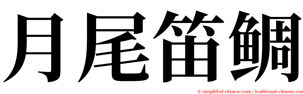 月尾笛鲷 serif font