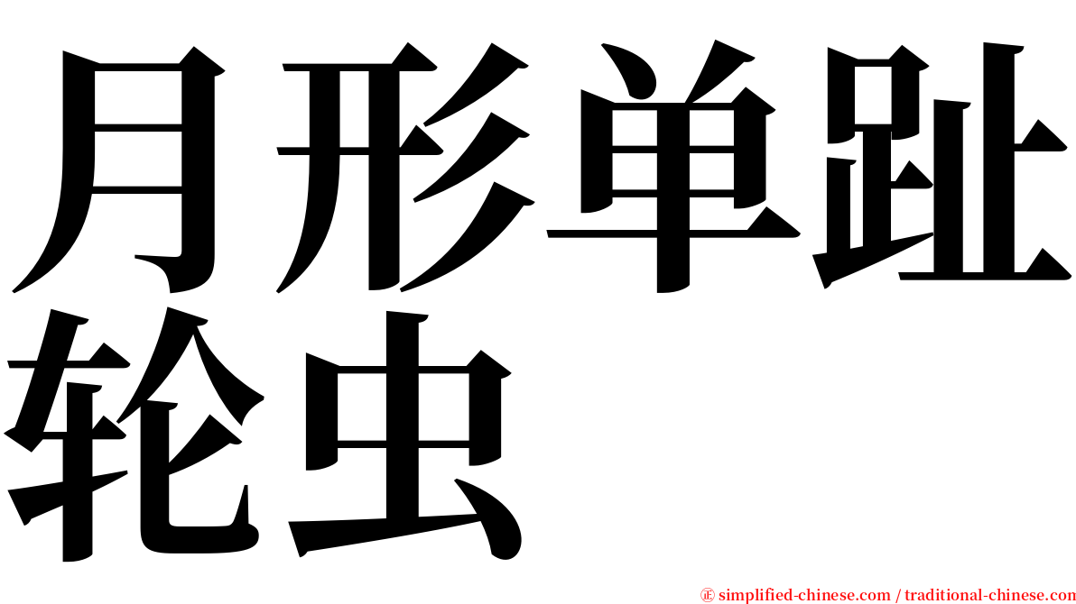 月形单趾轮虫 serif font