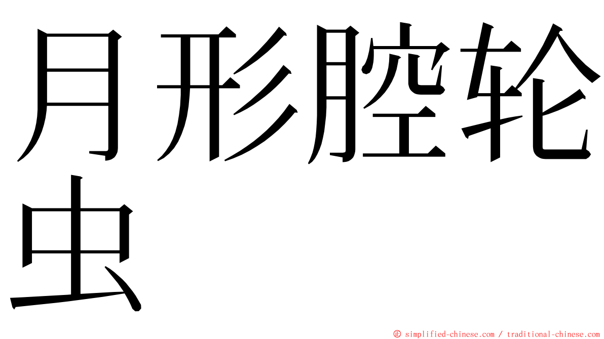 月形腔轮虫 ming font