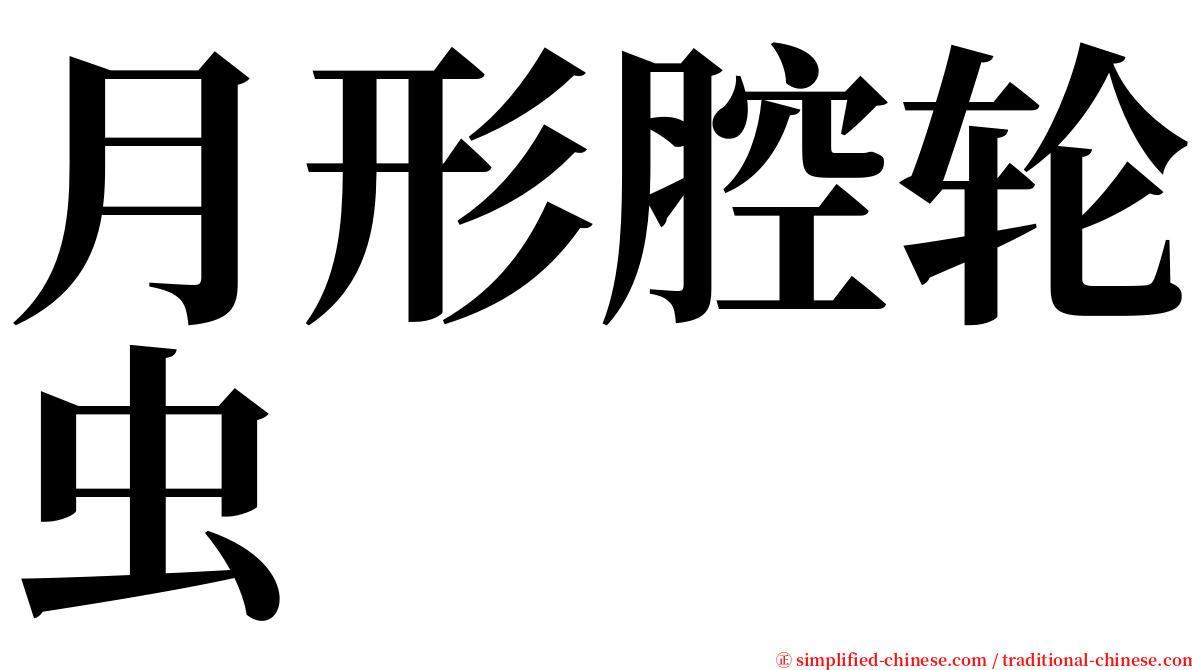 月形腔轮虫 serif font