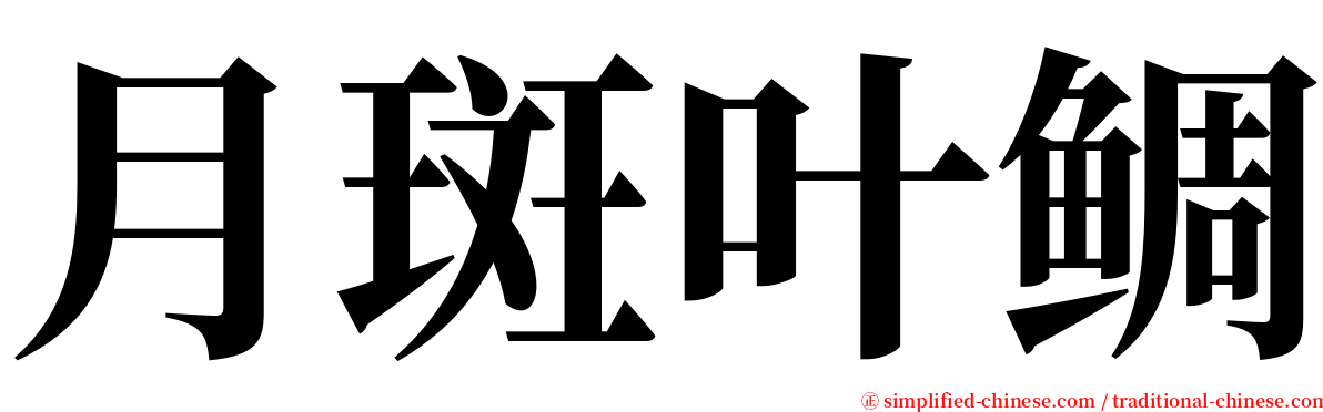 月斑叶鲷 serif font