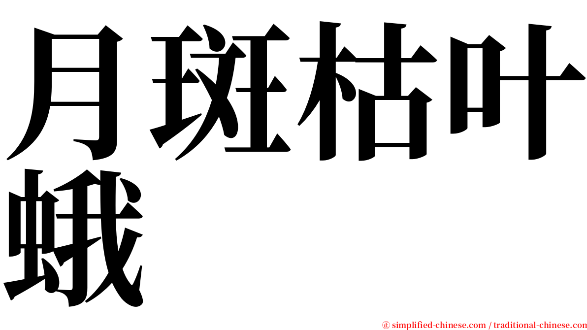 月斑枯叶蛾 serif font