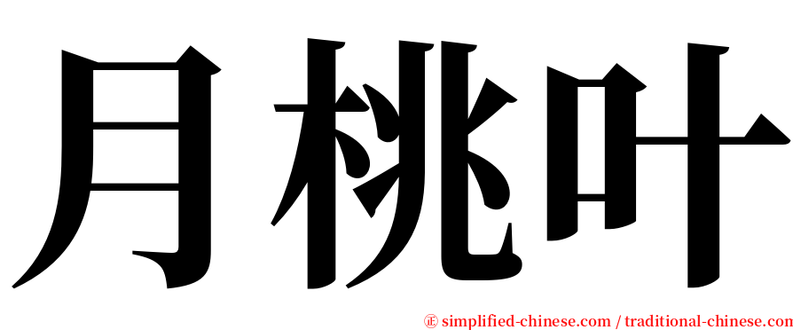 月桃叶 serif font