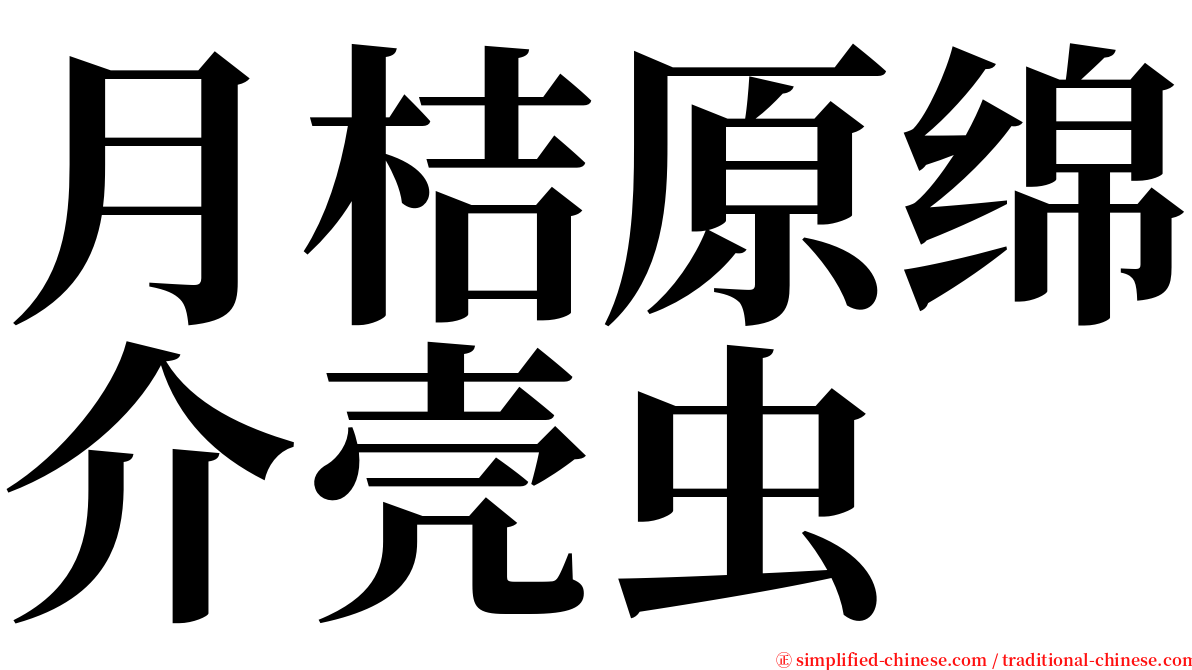 月桔原绵介壳虫 serif font