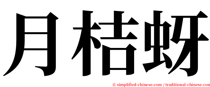 月桔蚜 serif font