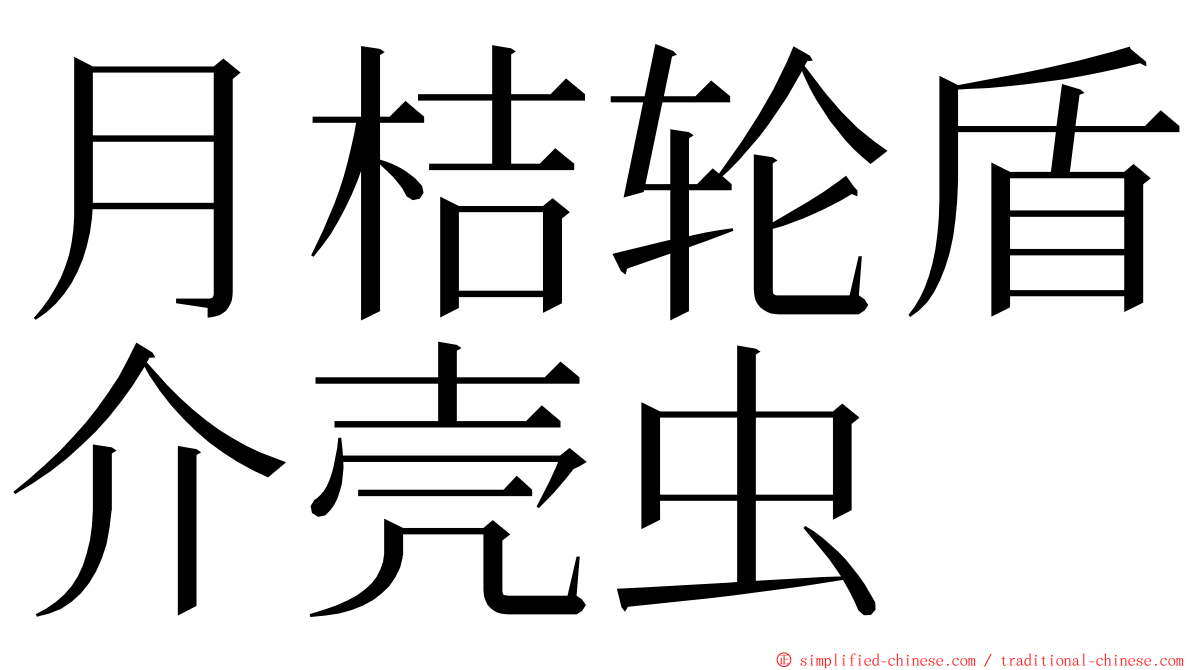 月桔轮盾介壳虫 ming font