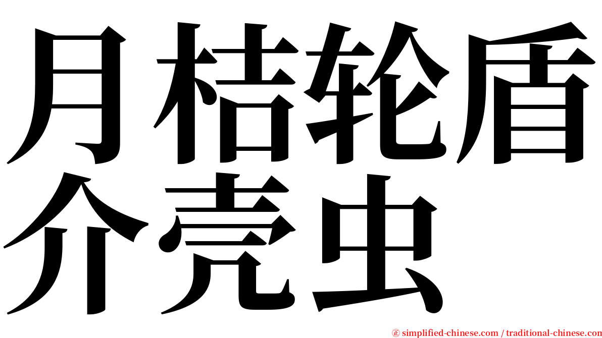 月桔轮盾介壳虫 serif font