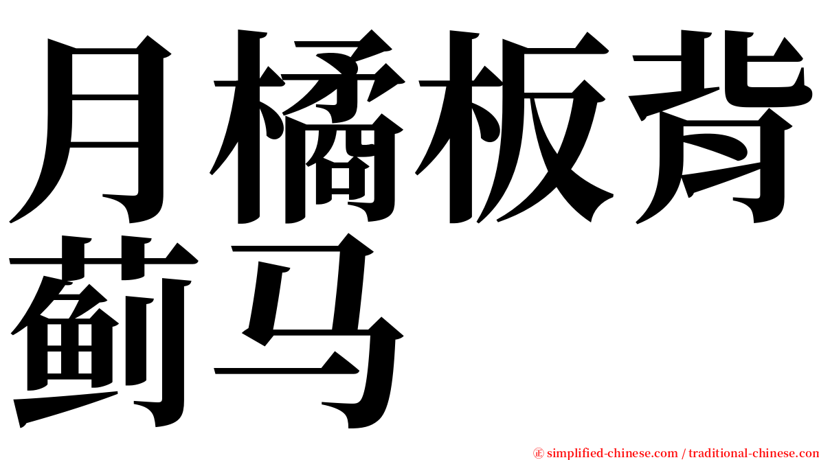 月橘板背蓟马 serif font