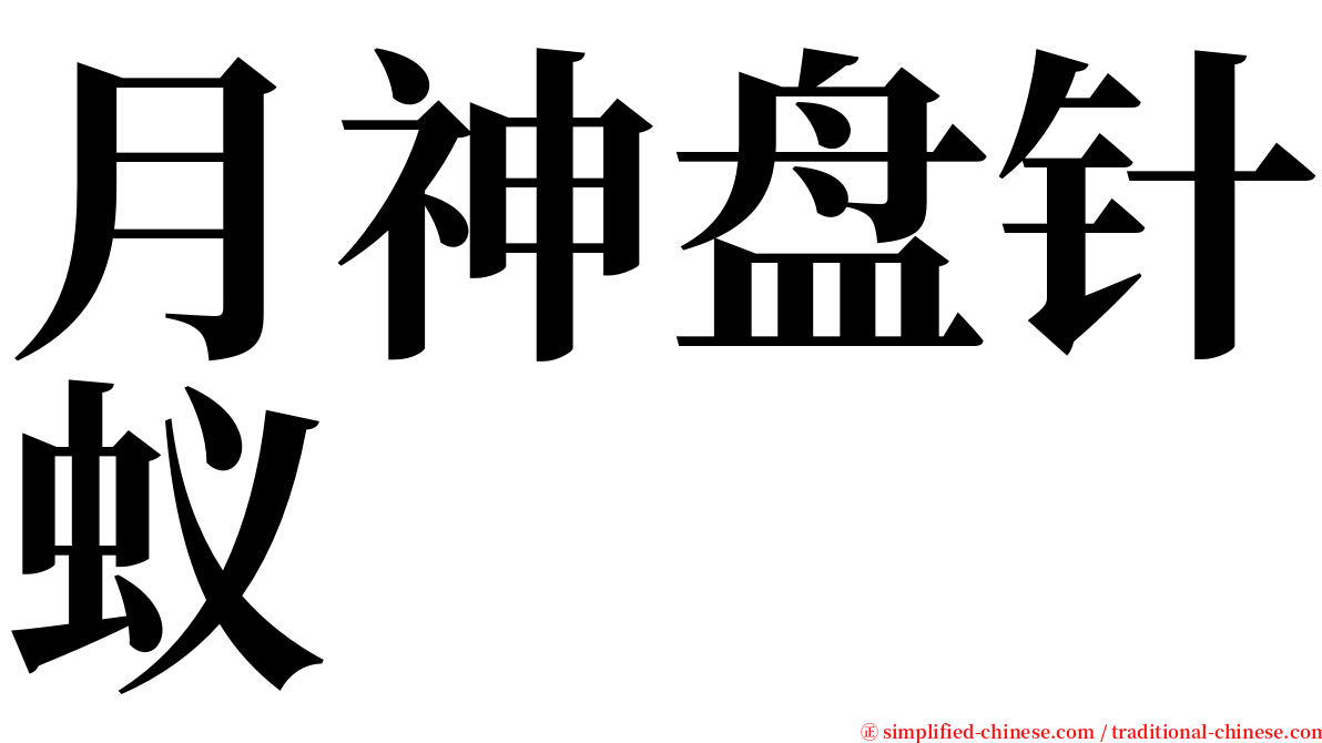 月神盘针蚁 serif font