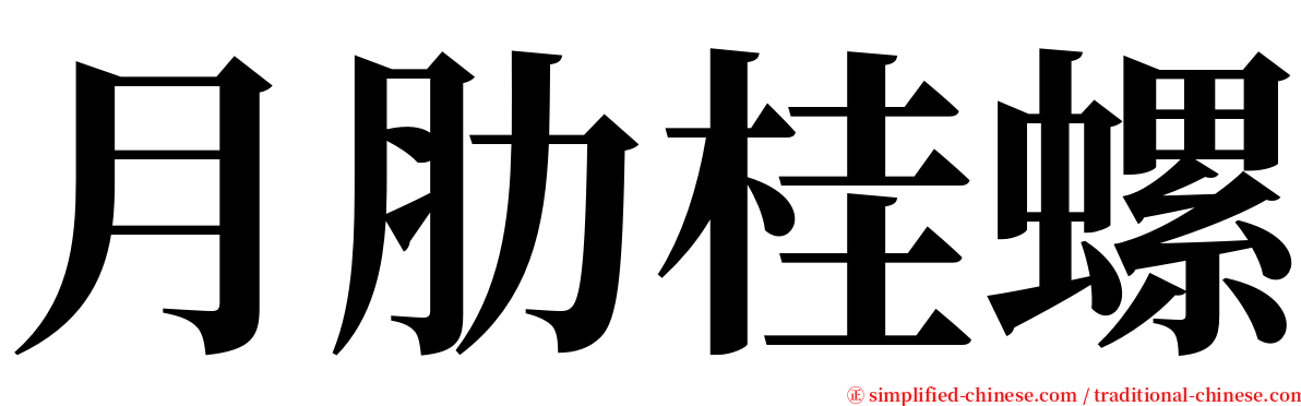 月肋桂螺 serif font