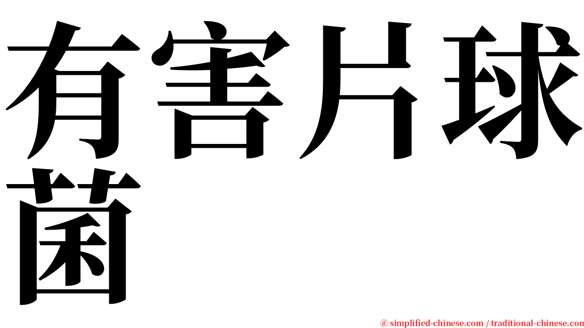 有害片球菌 serif font