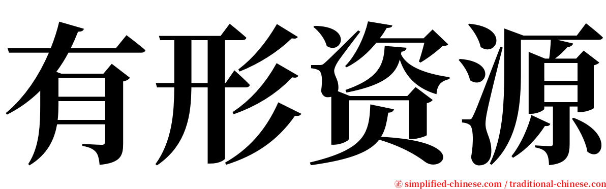 有形资源 serif font