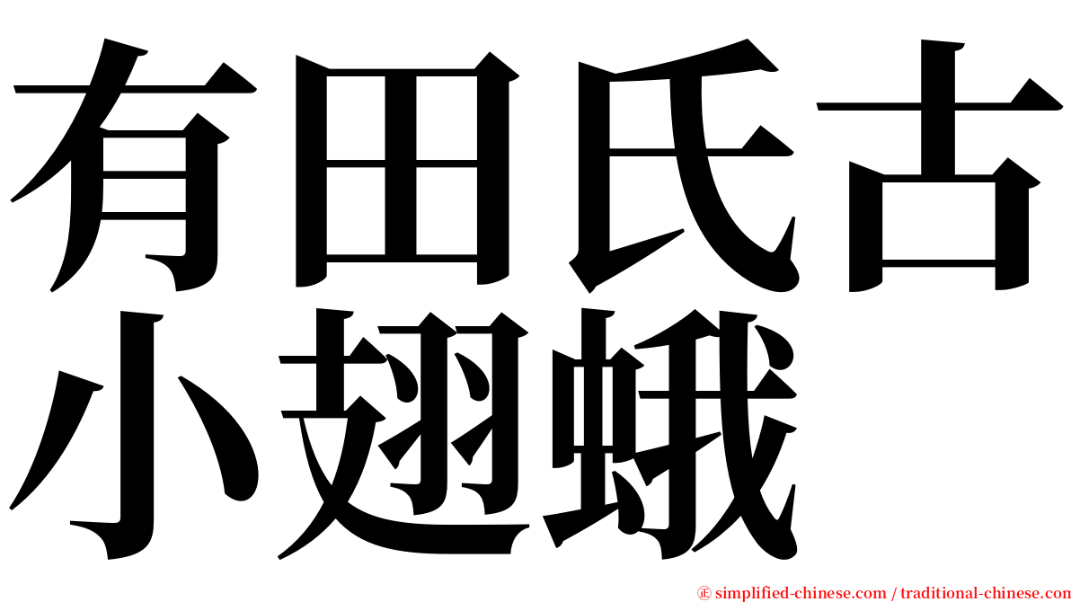 有田氏古小翅蛾 serif font