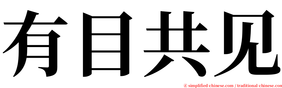 有目共见 serif font