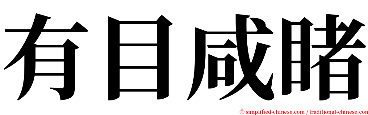 有目咸睹 serif font