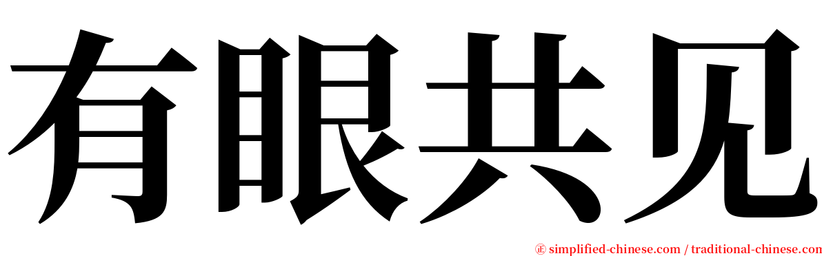 有眼共见 serif font