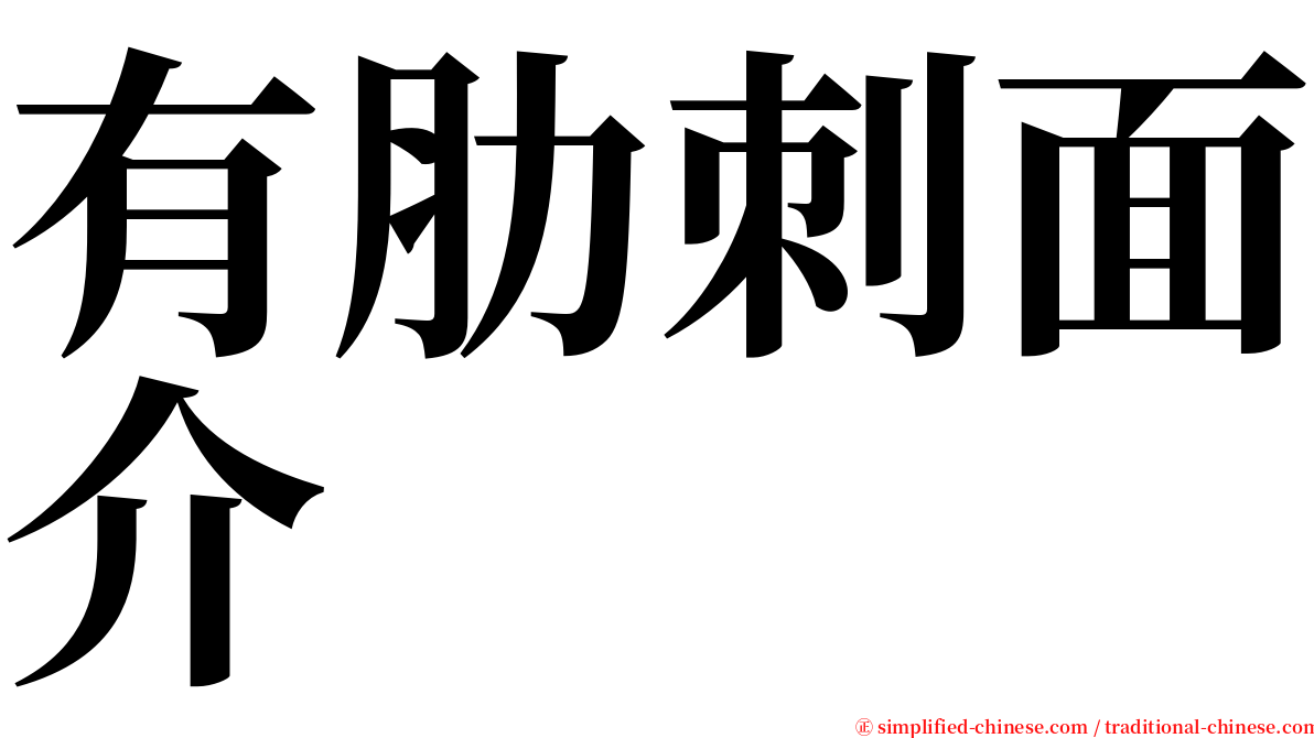 有肋刺面介 serif font