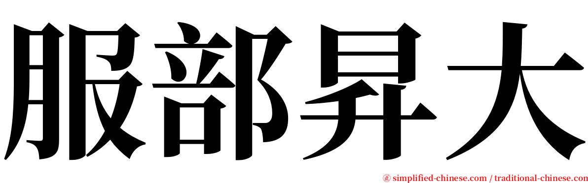 服部昇大 serif font