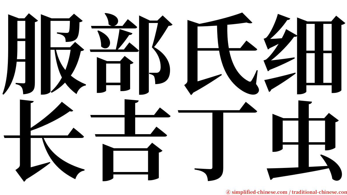 服部氏细长吉丁虫 serif font