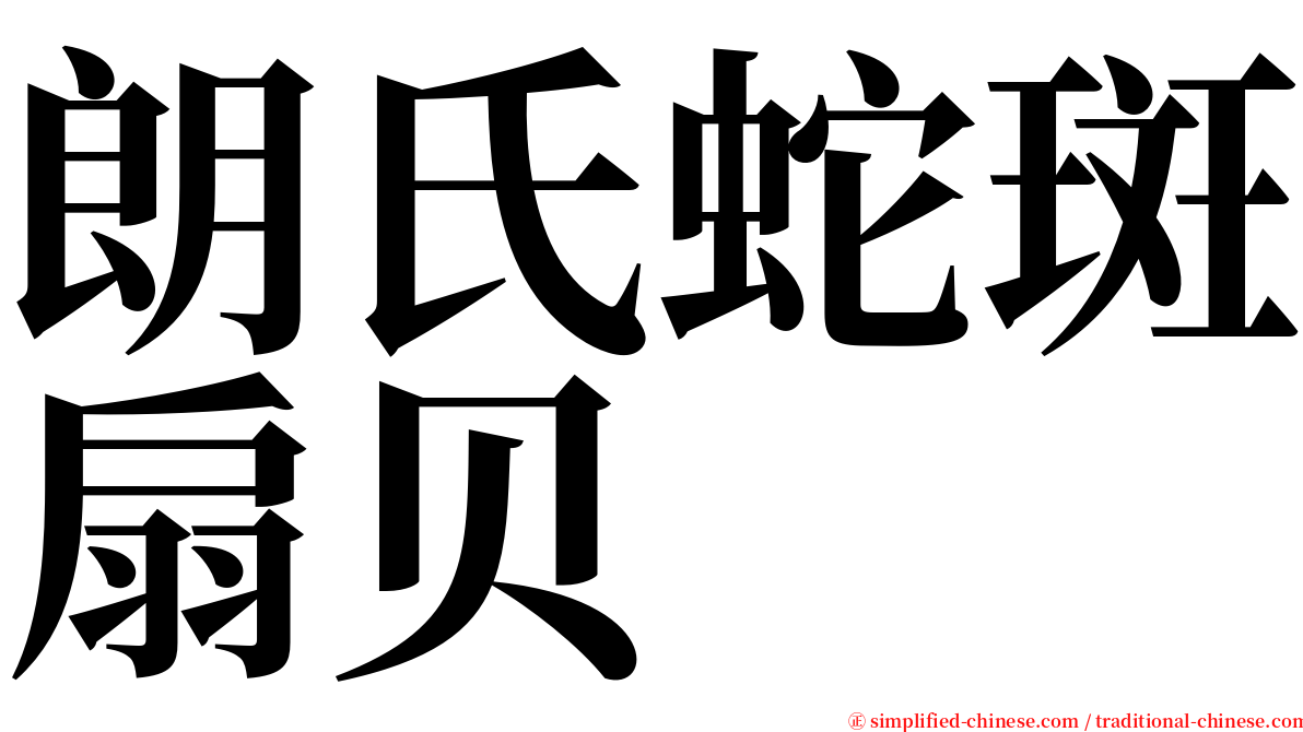 朗氏蛇斑扇贝 serif font