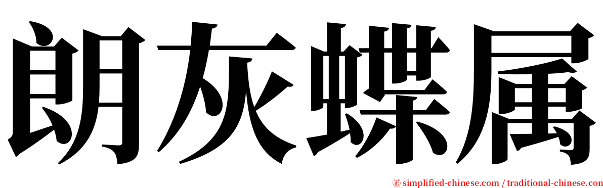 朗灰蝶属 serif font