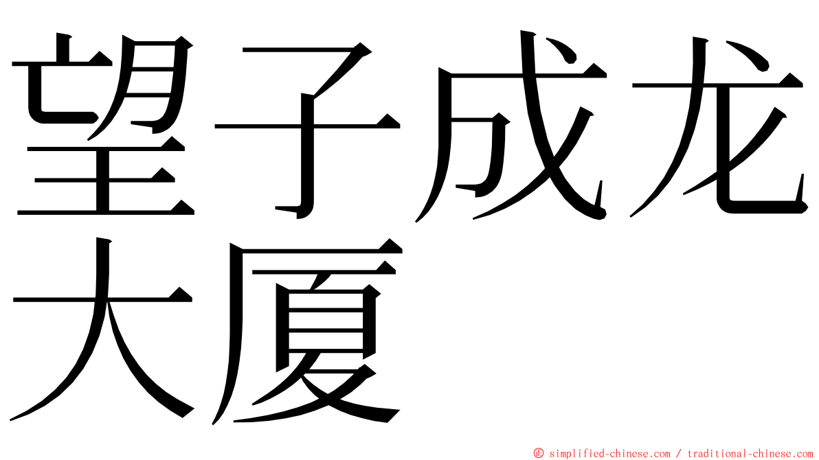 望子成龙大厦 ming font