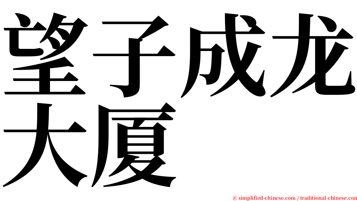 望子成龙大厦 serif font