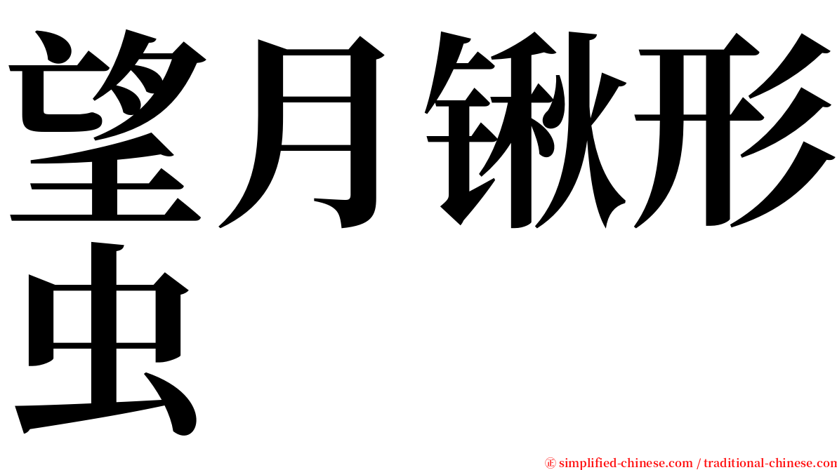 望月锹形虫 serif font