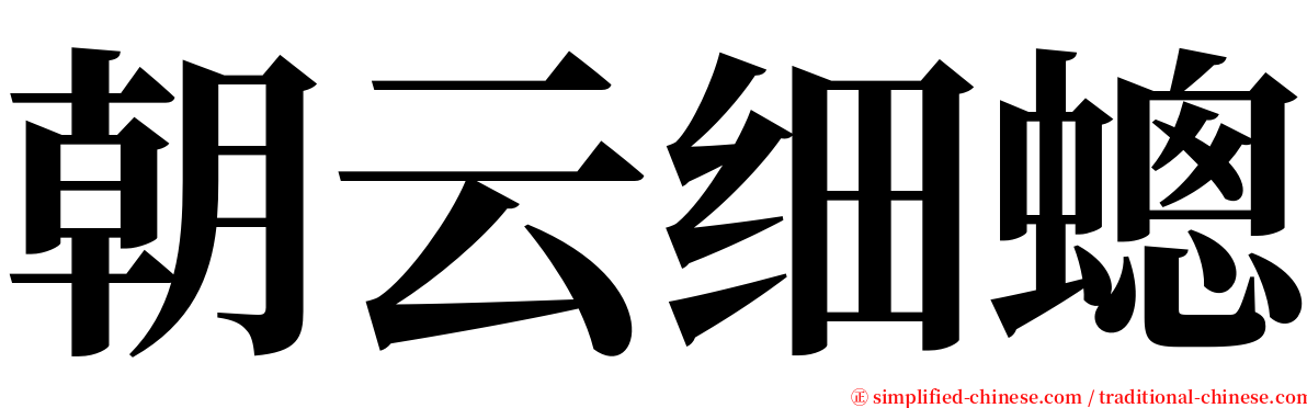 朝云细蟌 serif font